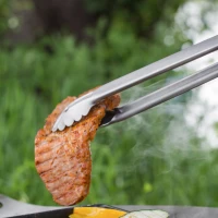 Grill und Kohlenzange