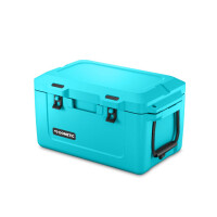 Isolierte Eis- und Passivkühlbox